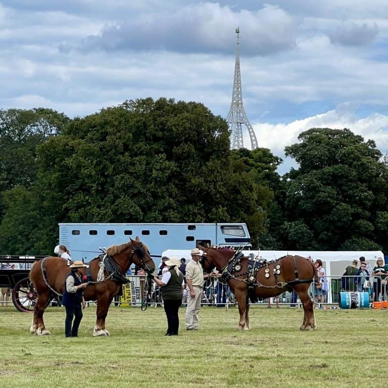 Horses and handlers at a country show with a tall tower in the background.